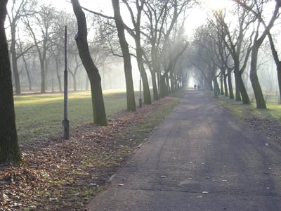 Park na Zdrowiu — photo from their website